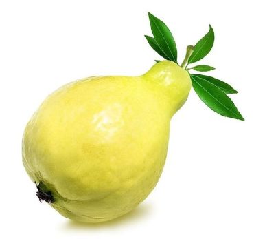 Guava Egypt, 1 Kg